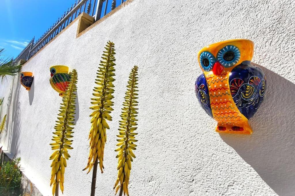 Flor De Neu Holiday home